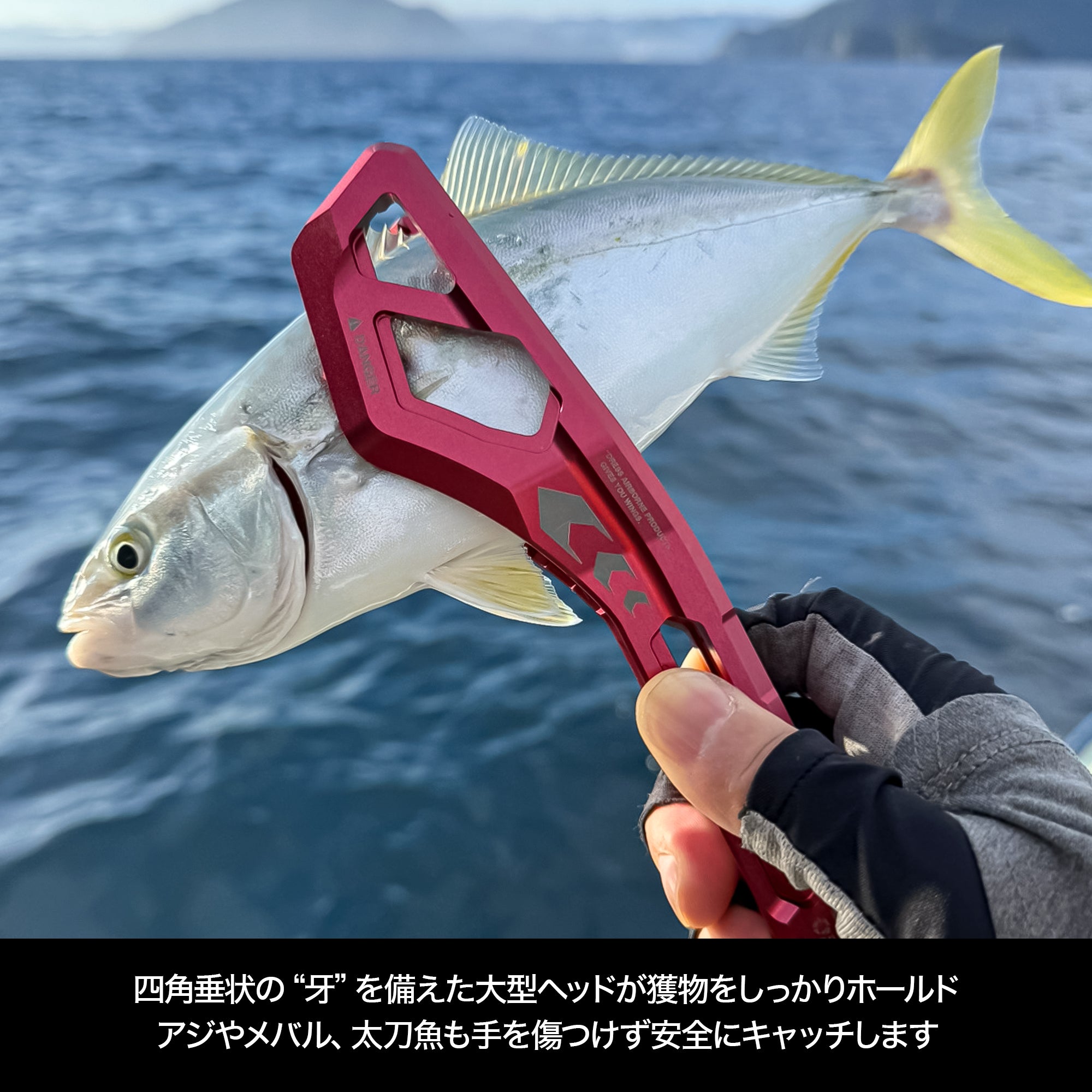 【WEB限定】DRESS DINO GRIP EVO HD