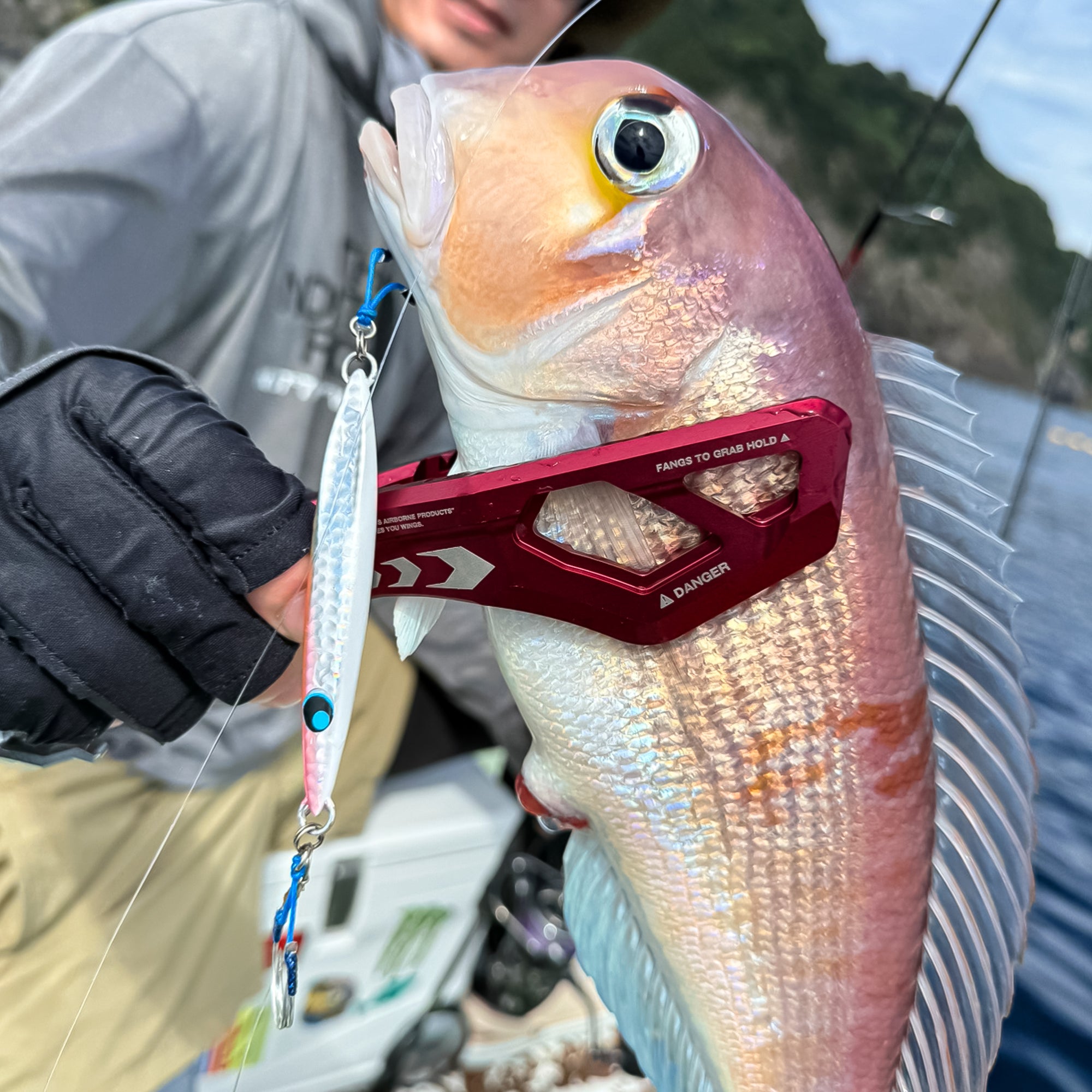 【WEB限定】DRESS DINO GRIP EVO HD