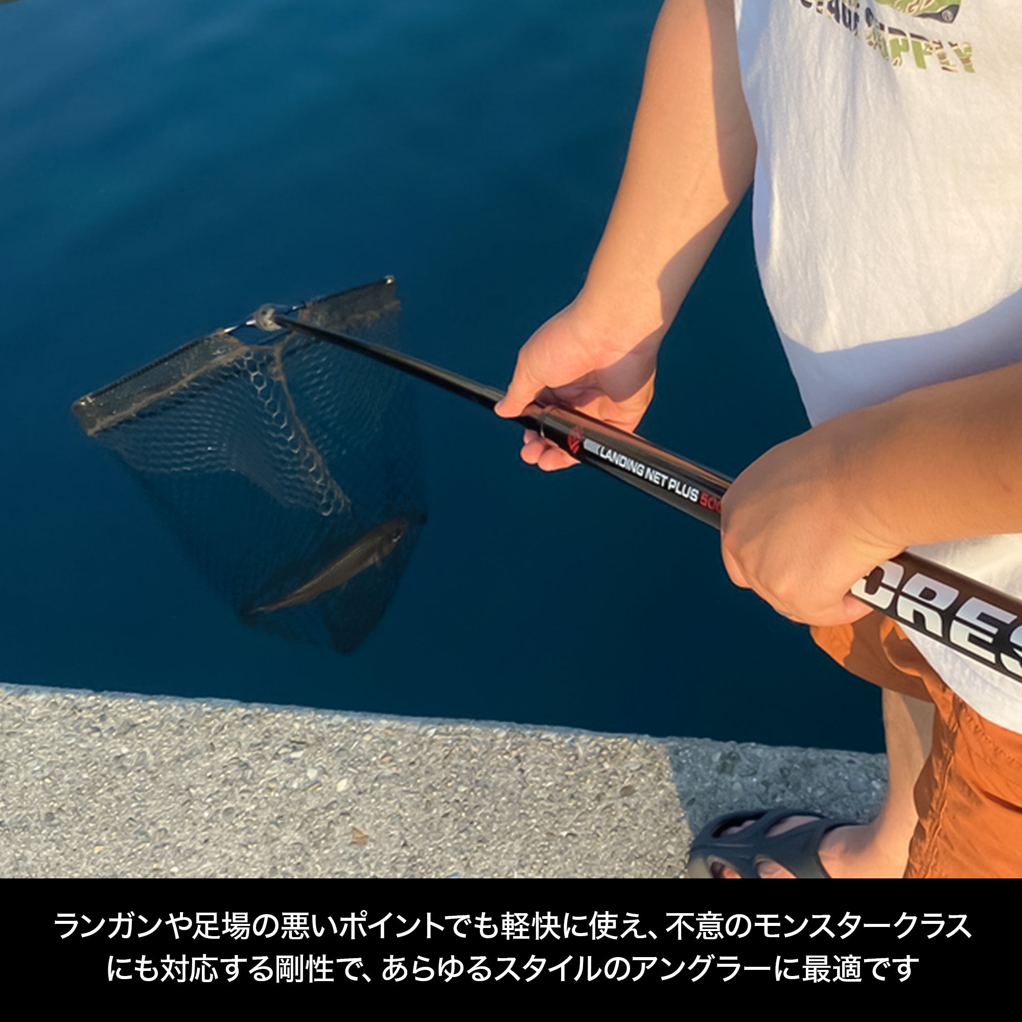 DRESS Landing Net+