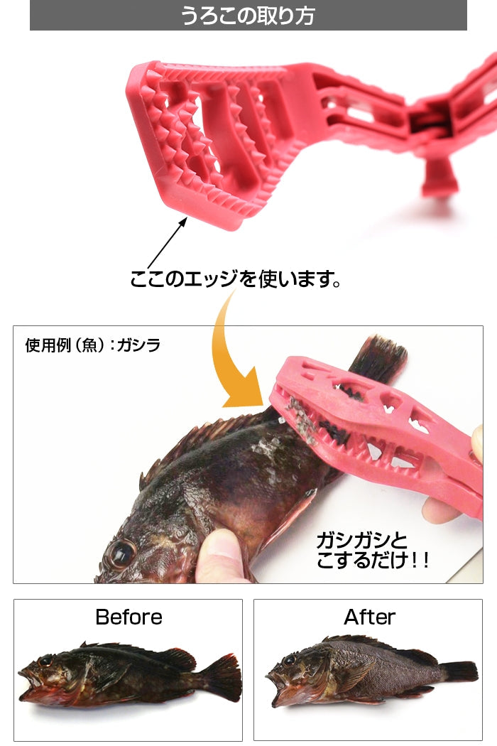 DRESS ディノグリップ