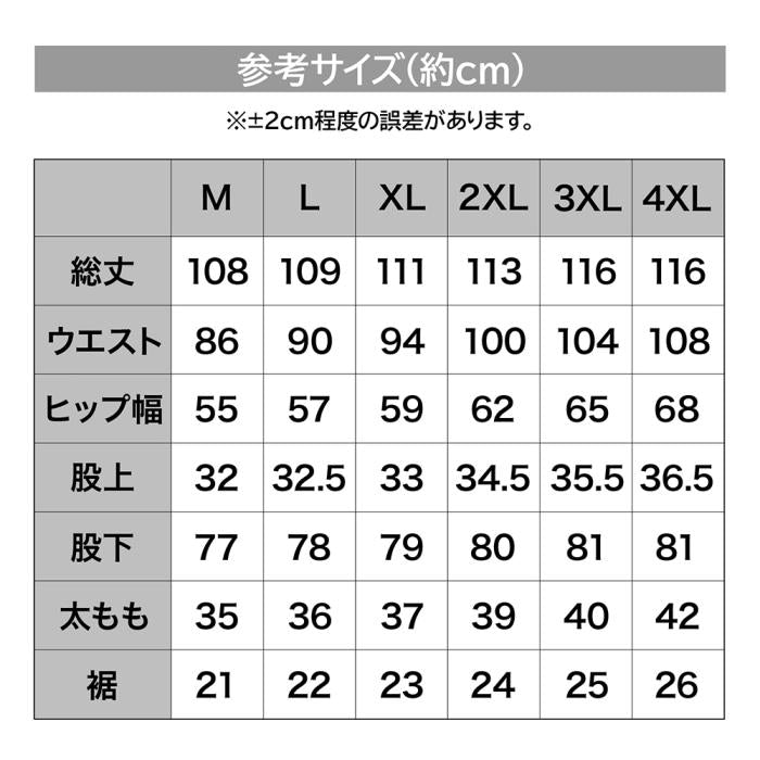 DRESS ハイグレード レインパンツ AIRBORNE