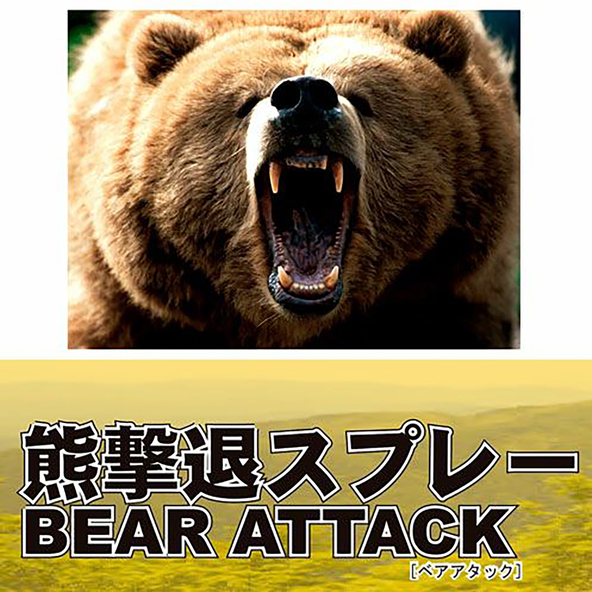 熊撃退スプレー 2026年】最強の熊撃退スプレーを含む12製品の比較表とおすすめ人気