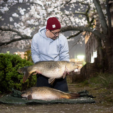 Yoshihiro Mune（CarpQuest）