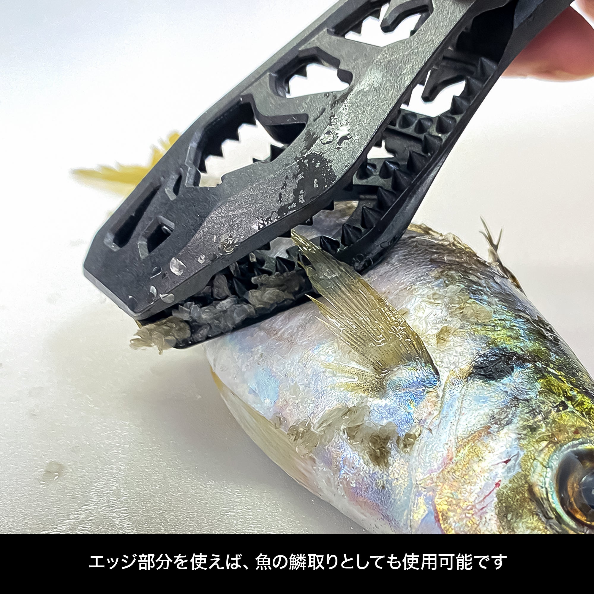 DRESS ディノグリップEVO  グロータイプ フィッシュグリップ(魚掴み器・蓄光)